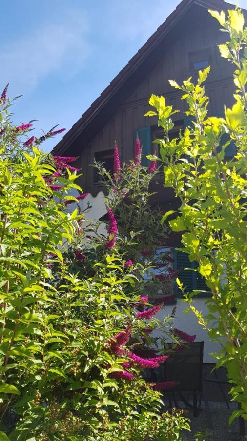 Chill&Sleep Bad Ischl Apartment Bagian luar foto