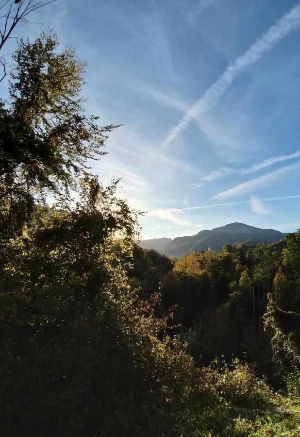 Chill&Sleep Bad Ischl Apartment Bagian luar foto
