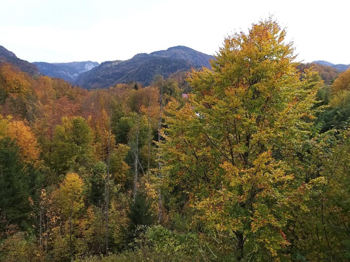 Chill&Sleep Bad Ischl Apartment Bagian luar foto
