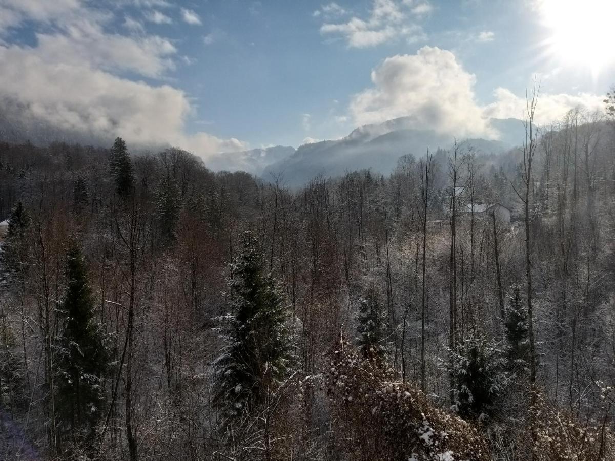 Chill&Sleep Bad Ischl Apartment Bagian luar foto