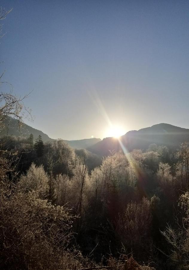 Chill&Sleep Bad Ischl Apartment Bagian luar foto