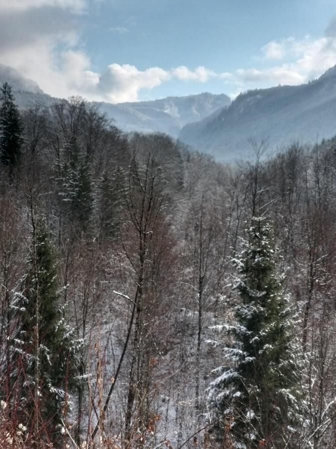 Chill&Sleep Bad Ischl Apartment Bagian luar foto