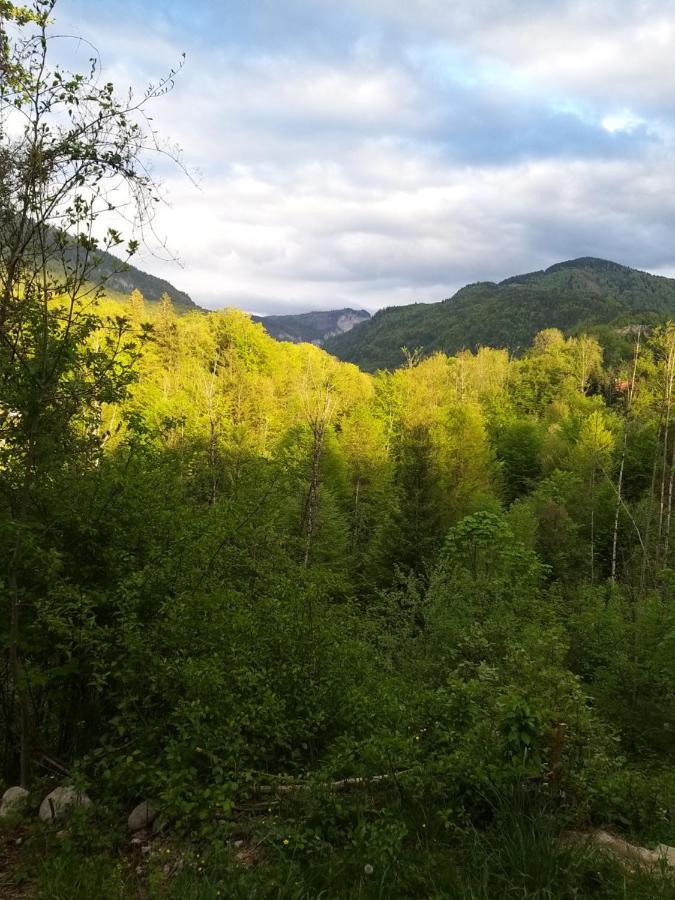 Chill&Sleep Bad Ischl Apartment Bagian luar foto