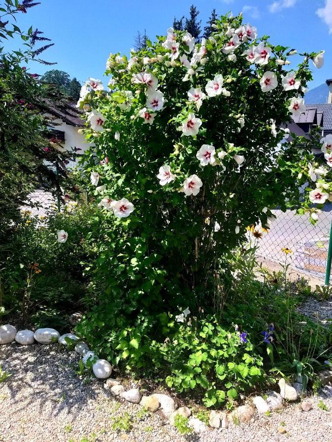 Chill&Sleep Bad Ischl Apartment Bagian luar foto