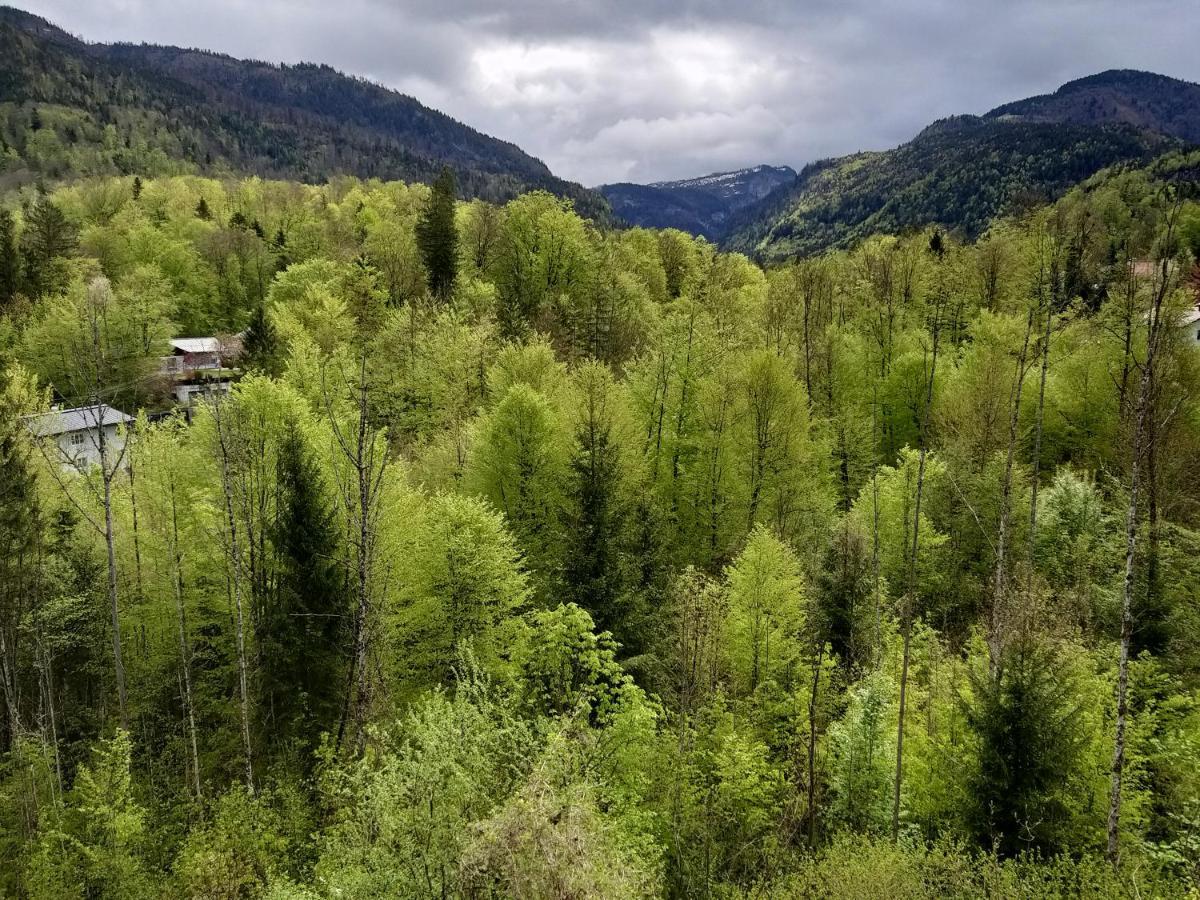 Chill&Sleep Bad Ischl Apartment Bagian luar foto