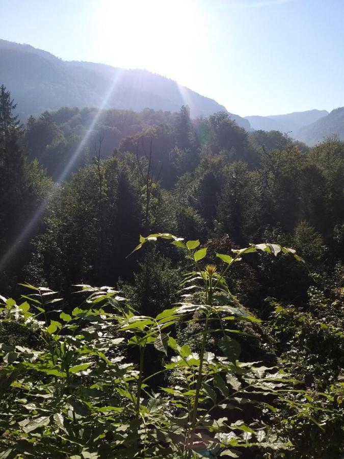 Chill&Sleep Bad Ischl Apartment Bagian luar foto