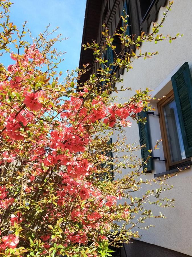 Chill&Sleep Bad Ischl Apartment Bagian luar foto